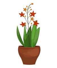 Houseplant lily flower in pot.  Hand-drawn for decoration of flower shop, office, home, store. Decorative indoor house plant isolated on transparent background. Editable vector illustration