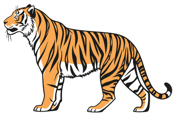 majestic tiger, full body portrait, standing pose, white background, photorealistic, high detail, sharp focus, striped fur, orange and black coloration,