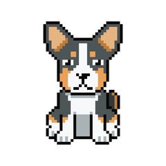 Obraz premium Pixel art cute basenji dog vector in retro style for design.