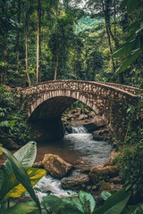 bridge over the river