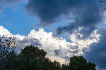 Cloudy Skies in a Tropical Setting