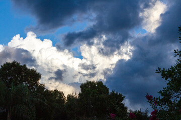 Cloudy Skies in a Tropical Setting
