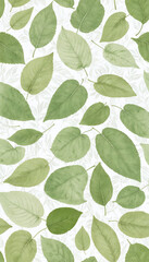 A delicate fresco-style composition of green leaves on a textured wall, blending botanical art with vintage aesthetics for a natural, airy look.