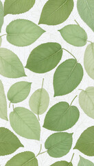 A delicate fresco-style composition of green leaves on a textured wall, blending botanical art with vintage aesthetics for a natural, airy look.