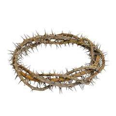 The crown of the thorns of Christ on a white background