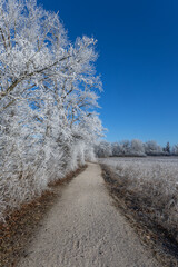 Chiemsee Winter