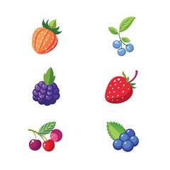 set of berries on white background