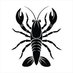 scorpion isolated on white