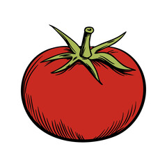 Illustration of a vibrant red tomato with green stalk and stylized details.