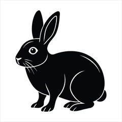 white rabbit isolated on white