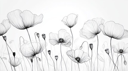 Black and white sketch of a poppy field with delicate line work and a serene aesthetic