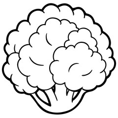 Creative Cauliflower Vector Composition