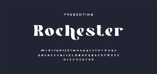 premium luxury elegant alphabet letters and numbers. Elegant wedding typography classic serif font decorative vintage retro. Creative vector illustration