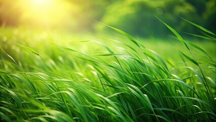 Obraz premium lush verdant grass blades swaying gently in the breeze, verdant, grass, verdant,grass, foliage
