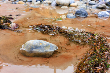 Clear and shallow water of tidal basin with polished rocks and seaweeds all over wet sand in...