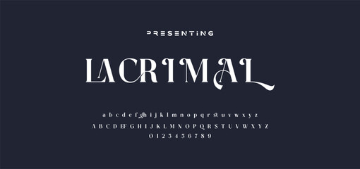 Premium luxury elegant alphabet letters and numbers. Elegant wedding typography classic serif font decorative vintage retro. Creative vector illustration