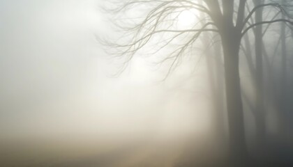 Foggy Winter Landscape With Bare Trees