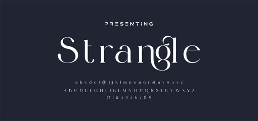 Premium luxury elegant alphabet letters and numbers. Elegant wedding typography classic serif font decorative vintage retro. Creative vector illustration