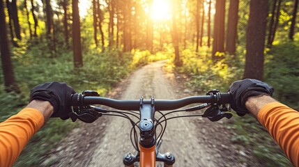 Mountain Biking Through a Sunlit Forest Trail