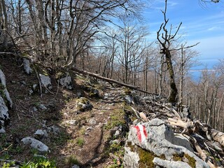 Premuzic hiking trail or Premuzic Trail - Northern Velebit National Park, Croatia or Premuzic-Wanderweg or Premuzic's Trail (Pješački planinarski put Premužićeva staza - NP Sjeverni Velebit)