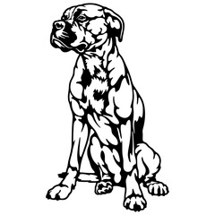 Boxer Dog Breed - Pet Vector Cut file, Dog Silhouette Stencil - Cricut file