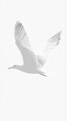 Obraz premium Monochrome Magic: A Seagull's Graceful Flight Across the Canvas