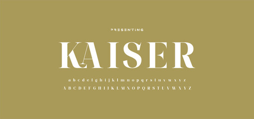 Elegant ligature alphabet letters font logo. Typography luxury classic lettering serif fonts decorative wedding vintage retro logos, design for fashion,beauty shop and brand . vector illustration