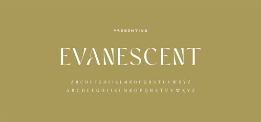 Elegant ligature alphabet letters font logo. Typography luxury classic lettering serif fonts decorative wedding vintage retro logos, design for fashion,beauty shop and brand . vector illustration