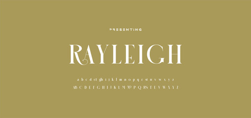 Luxury wedding alphabet letters font with tails. Typography elegant classic serif fonts and number decorative vintage retro concept for logo branding. vector illustration