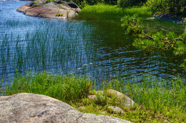 Ladoga skerries Islands of Lake Ladoga summer 