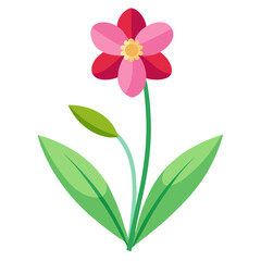 Spring flower illustration , spring flower vector design  
