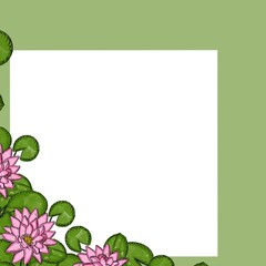 flower, lotus, nature, pink, water, plant, lily, leaf, pond, blossom, flowers, bloom, flora, summer, purple, waterlily, beauty, garden, water lily