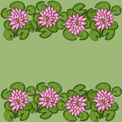 flower, lotus, nature, pink, water, plant, lily, leaf, pond, blossom, flowers, bloom, flora, summer, purple, waterlily, beauty, garden, water lily