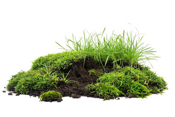 Green moss on the ground, pile of soil with grass isolated on transparent background. high resolution PNG file