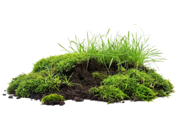 Green moss on the ground, pile of soil with grass isolated on transparent background. high resolution PNG file