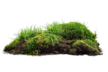 Green moss on the ground, pile of soil with grass isolated on transparent background. high resolution PNG file