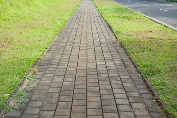Pedestrian paths and jogging trails