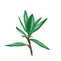 green plant isolated digital watercolor