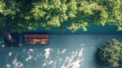 An outdoor park scene with a bench.