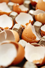 shell from broken eggs