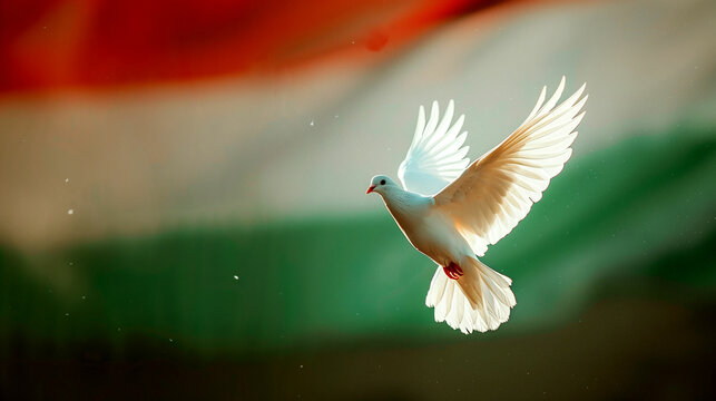 Majestic white dove soaring gracefully against vibrant tricolor background during peaceful celebration