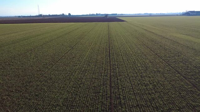 La Pianura Padana dal drone - San Giuliano Nuovo - Alessandria - Piemonte - Italia