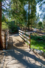 Wooden bridge and walking path in Sequoia National Forest California