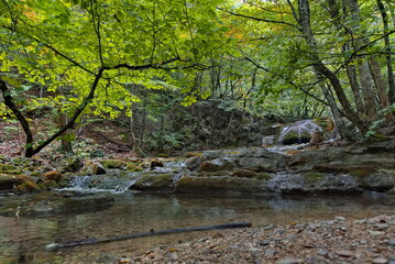 Russia, Republic of Crimea. View of the Ulu-Uzen riverbed in the shade of the rocky thickets of the mountain gorge of the Haphalsky hydrological reserve.