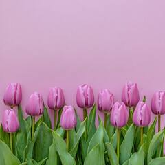 Fototapeta premium A bouquet of fresh pink tulips, creating an elegant and harmonious composition.