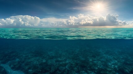 Obraz premium Wide-angle view captures colorful coral reef and diverse marine animals bathed in sunlight, highlighting textures in a serene, underwater environment
