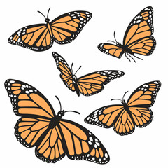 Six monarch butterflies in various positions