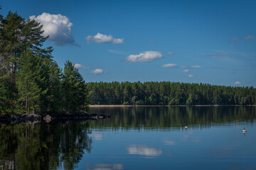 reflection of trees in lake