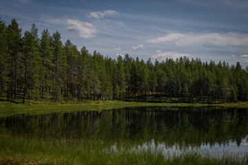 lake in the forest
