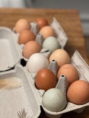 Fresh Colorful Dozen of Eggs in a Cardboard Egg Carton, Brown, Light Green, and White Eggs from Backyard Chicken Flock.